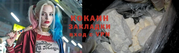 дживик Елизово