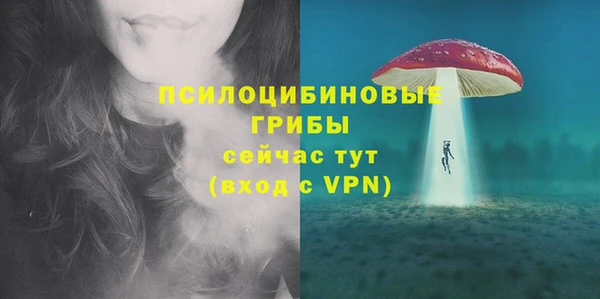 мдпв Заводоуковск