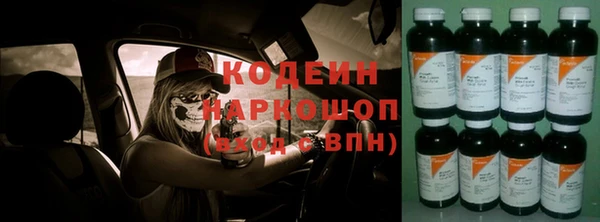 мдпв Заводоуковск
