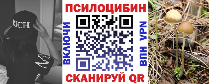 где купить наркоту  Черноголовка  Галлюциногенные грибы мухоморы 