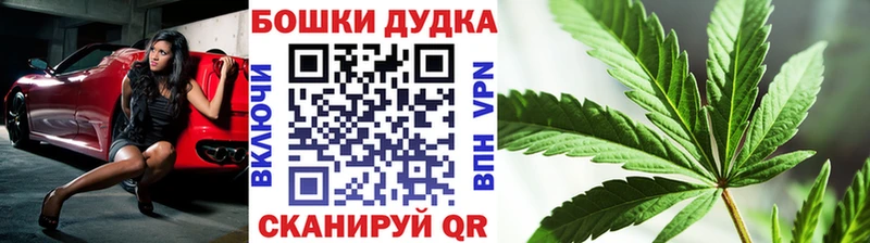 Канабис индика  хочу наркоту  Черноголовка 